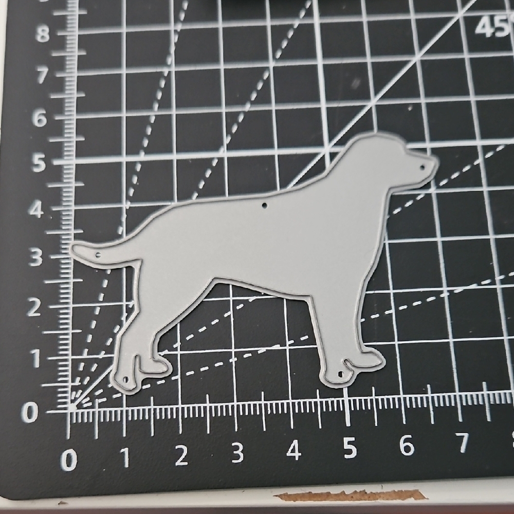 Labrador Die - Picture 2 of 3